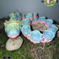 Cinderwing3D Rose Snake – 32" Articulated Rainbow Matte Dragon
